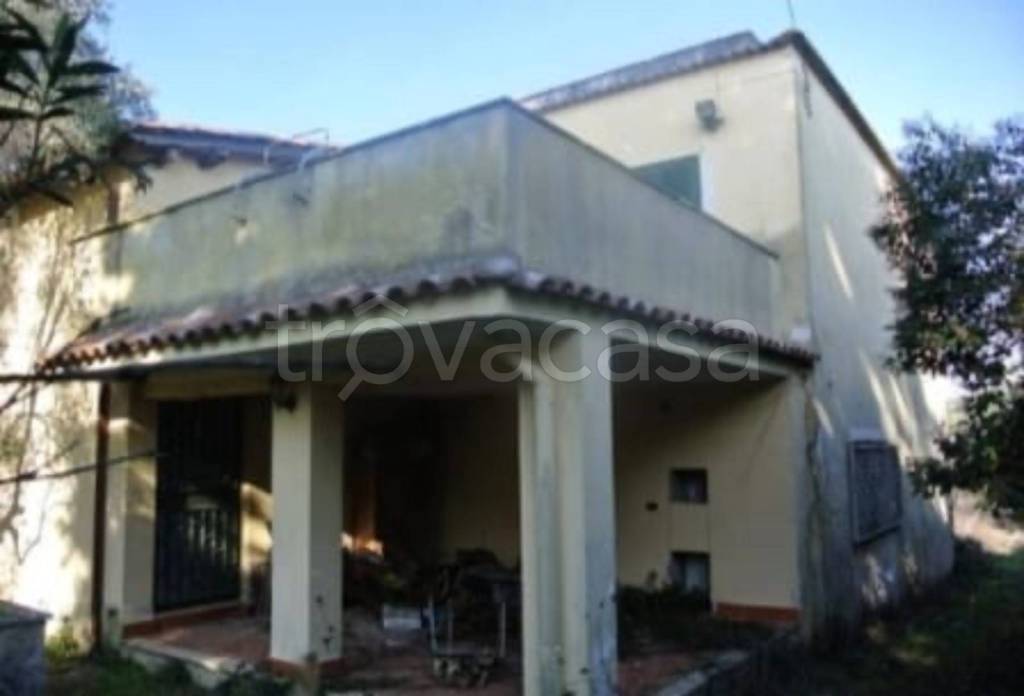 immagine annuncio 7 di 11