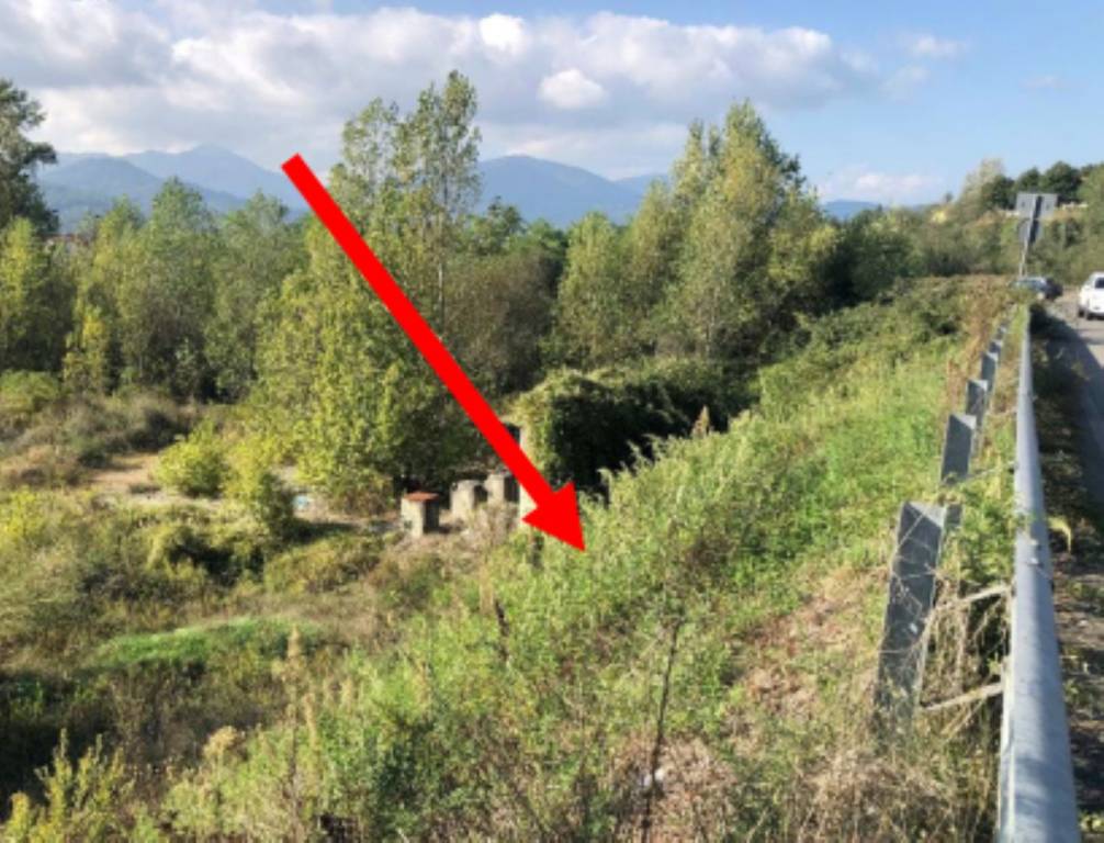 immagine annuncio 1 di 11
