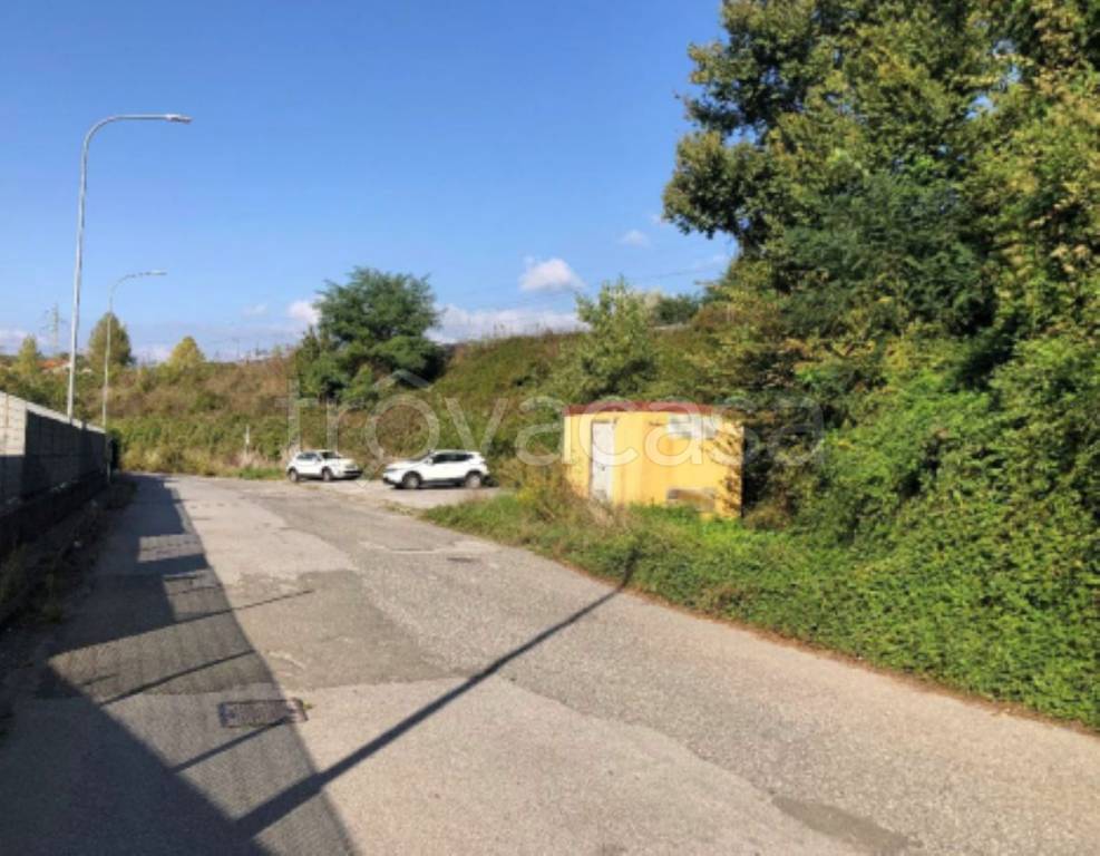 immagine annuncio 2 di 11