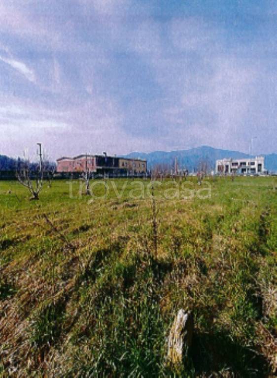 immagine annuncio 3 di 11