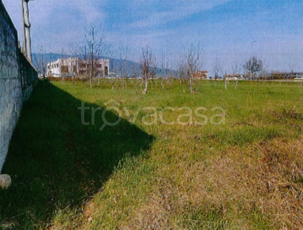immagine annuncio 4 di 11