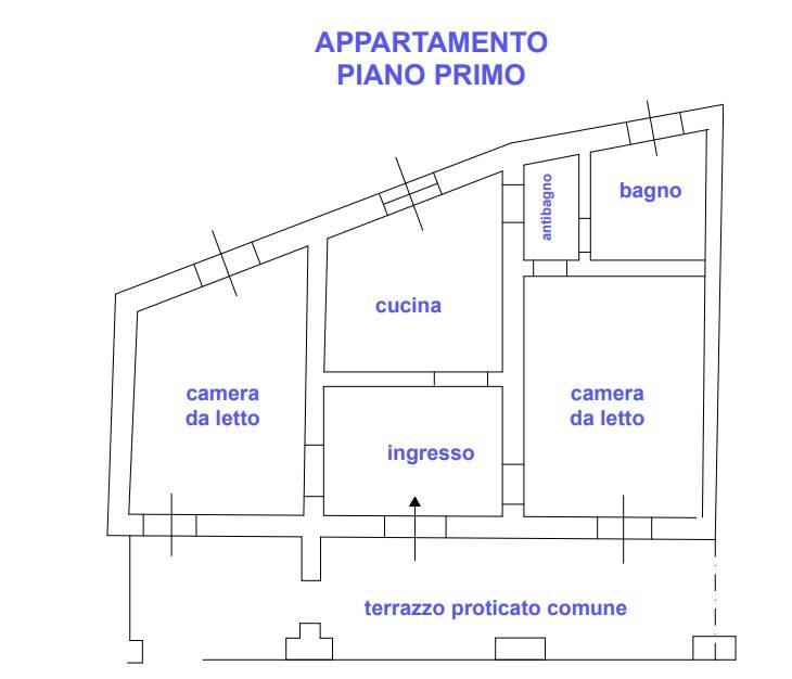 immagine annuncio 11 di 13
