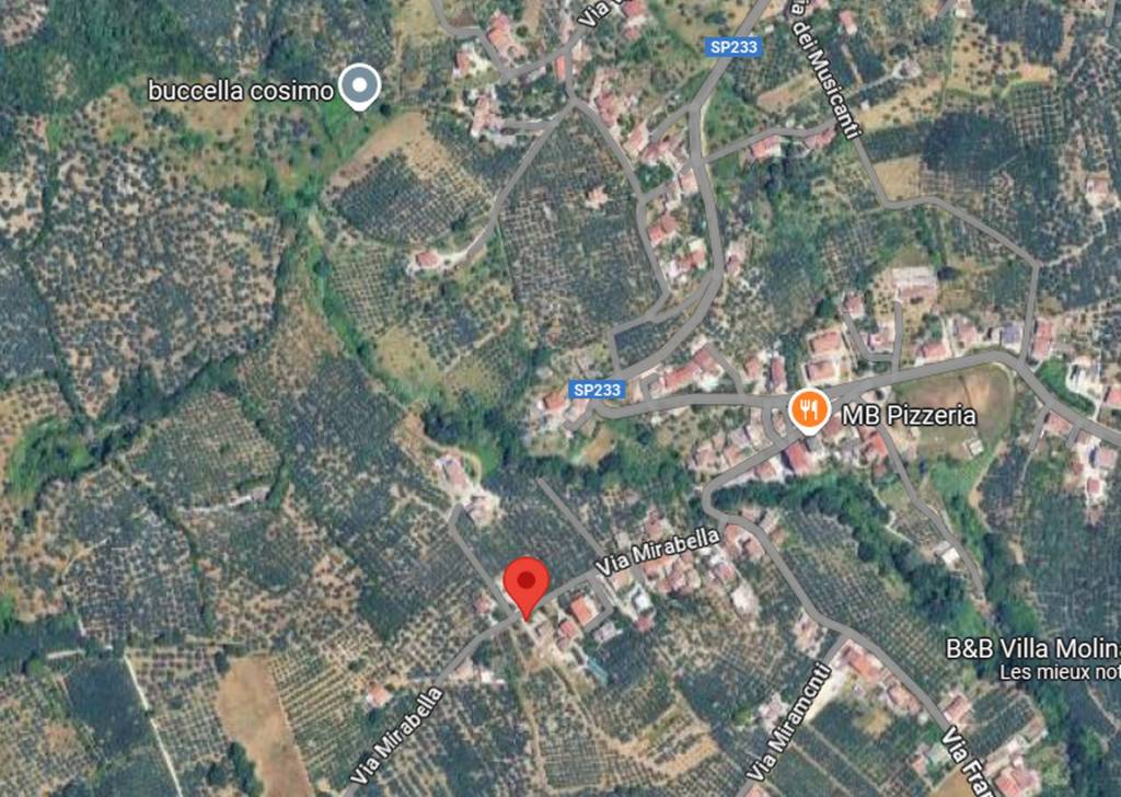 immagine annuncio 5 di 12