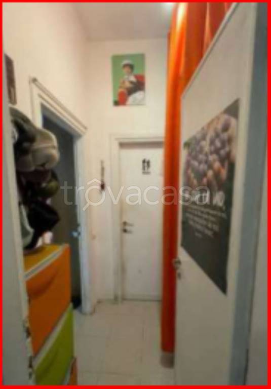 immagine annuncio 9 di 14
