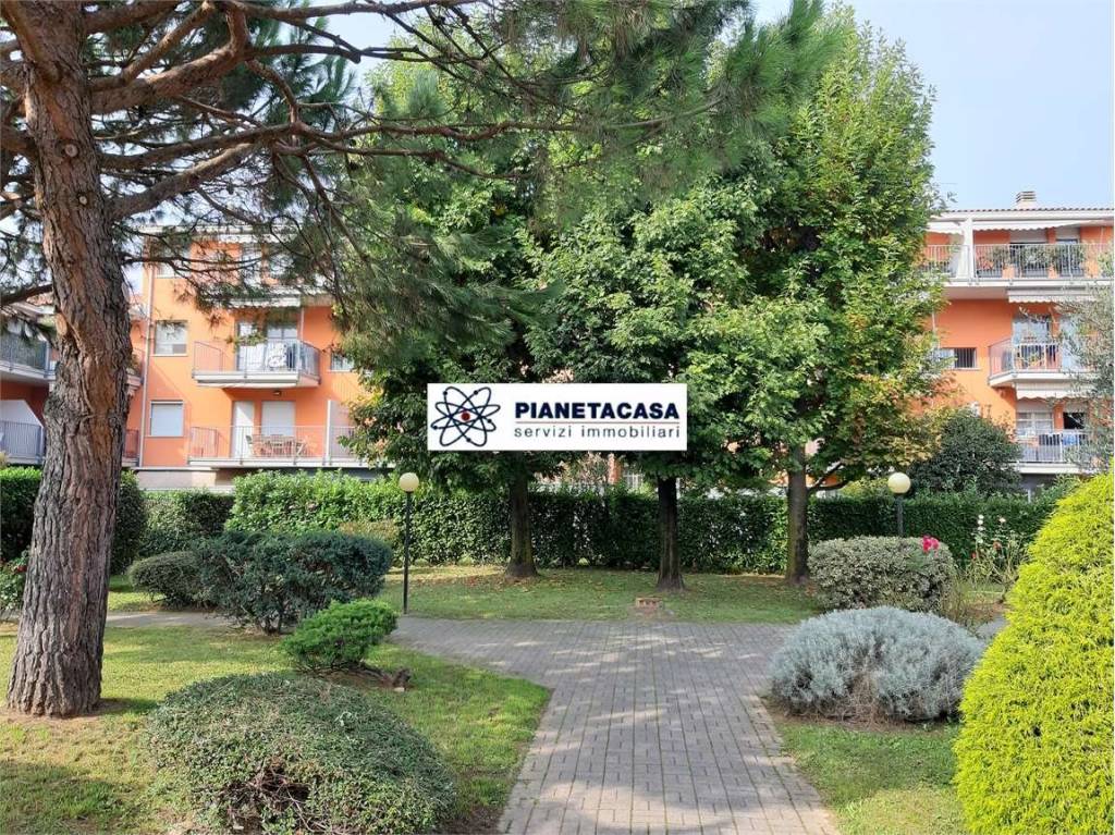 immagine annuncio 3 di 15