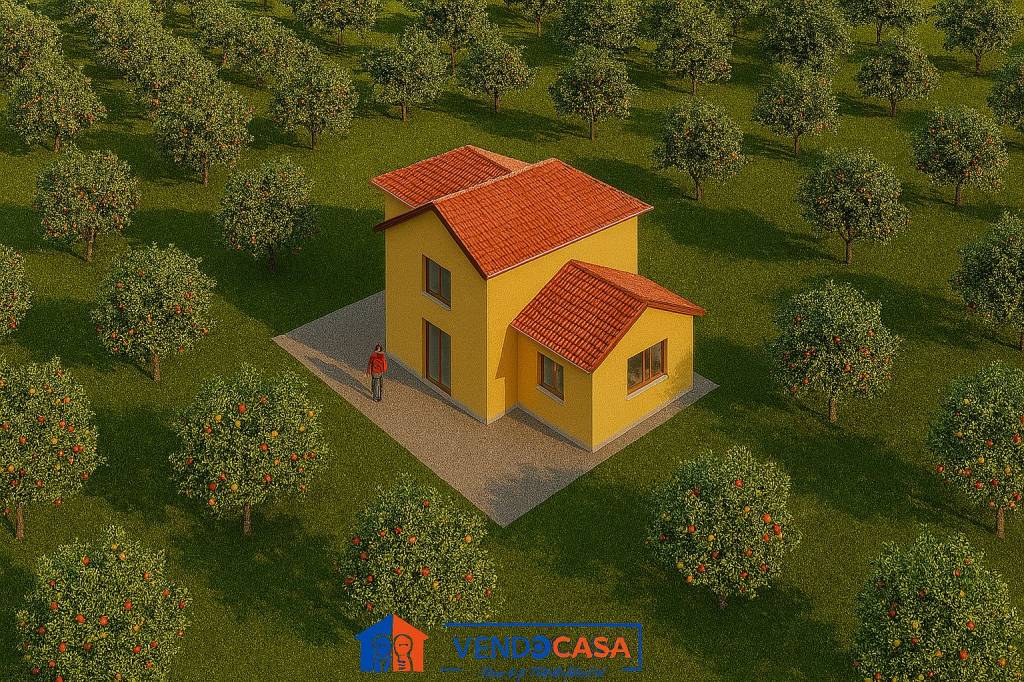 immagine annuncio 2 di 9
