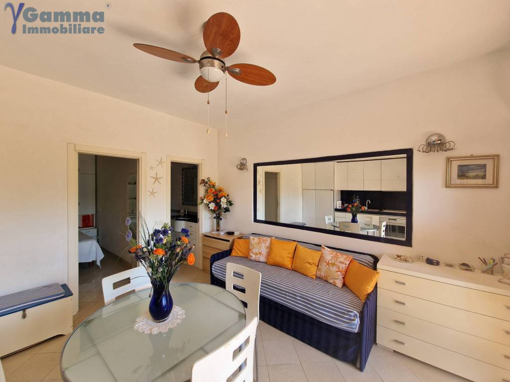 immagine annuncio 2 di 12