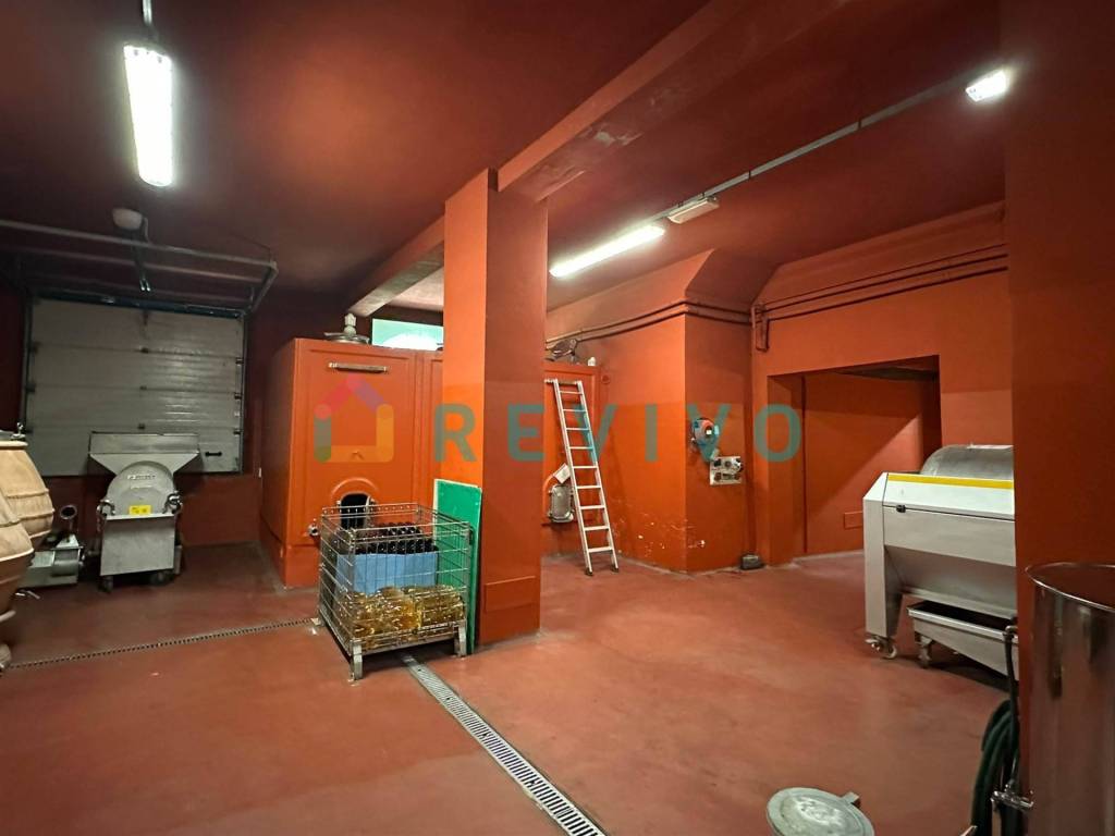 immagine annuncio 2 di 14