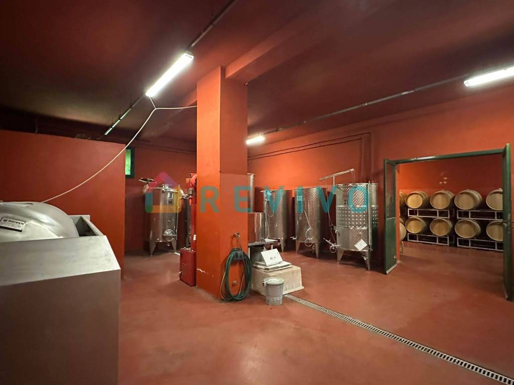 immagine annuncio 4 di 14