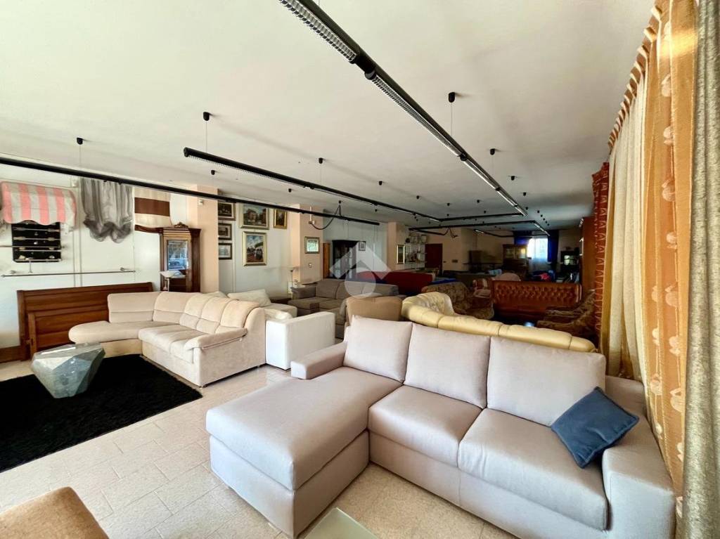 immagine annuncio 6 di 11