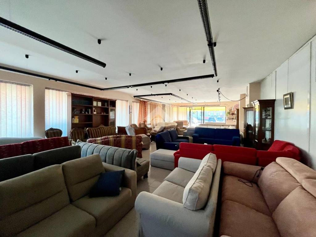 immagine annuncio 9 di 11