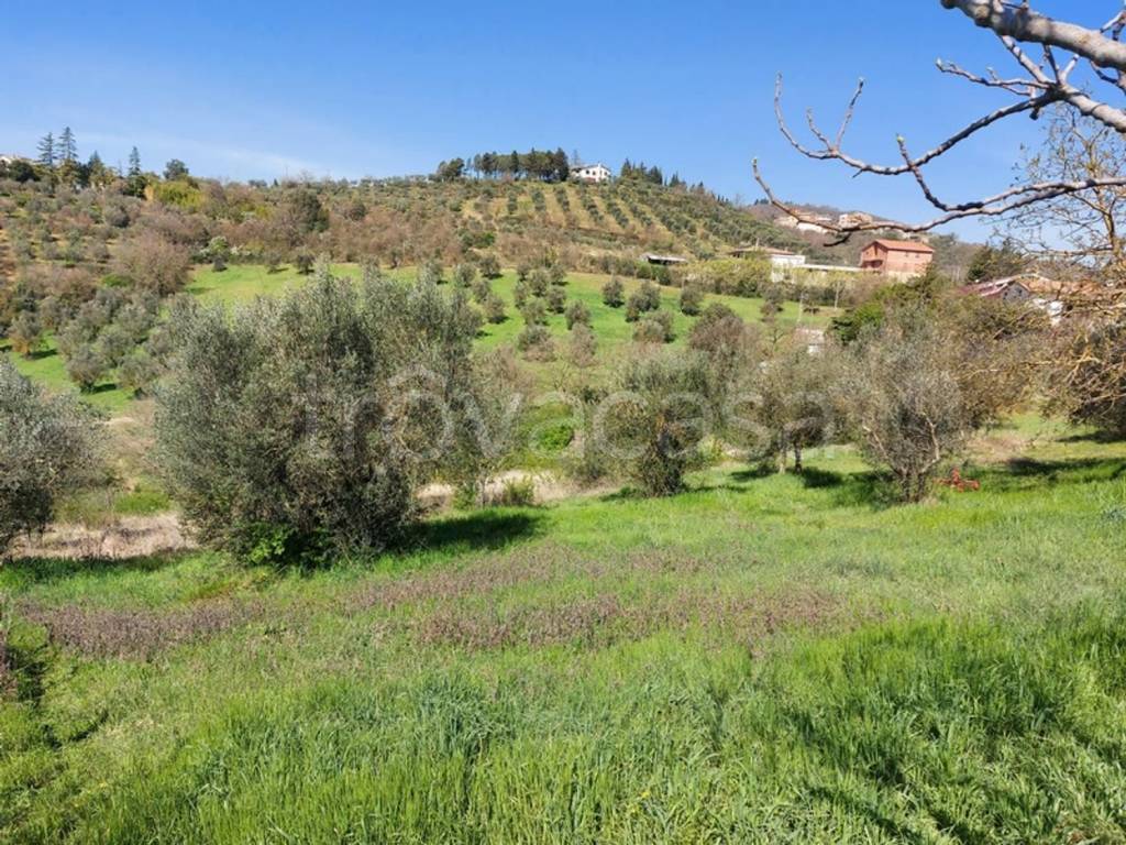 immagine annuncio 3 di 14