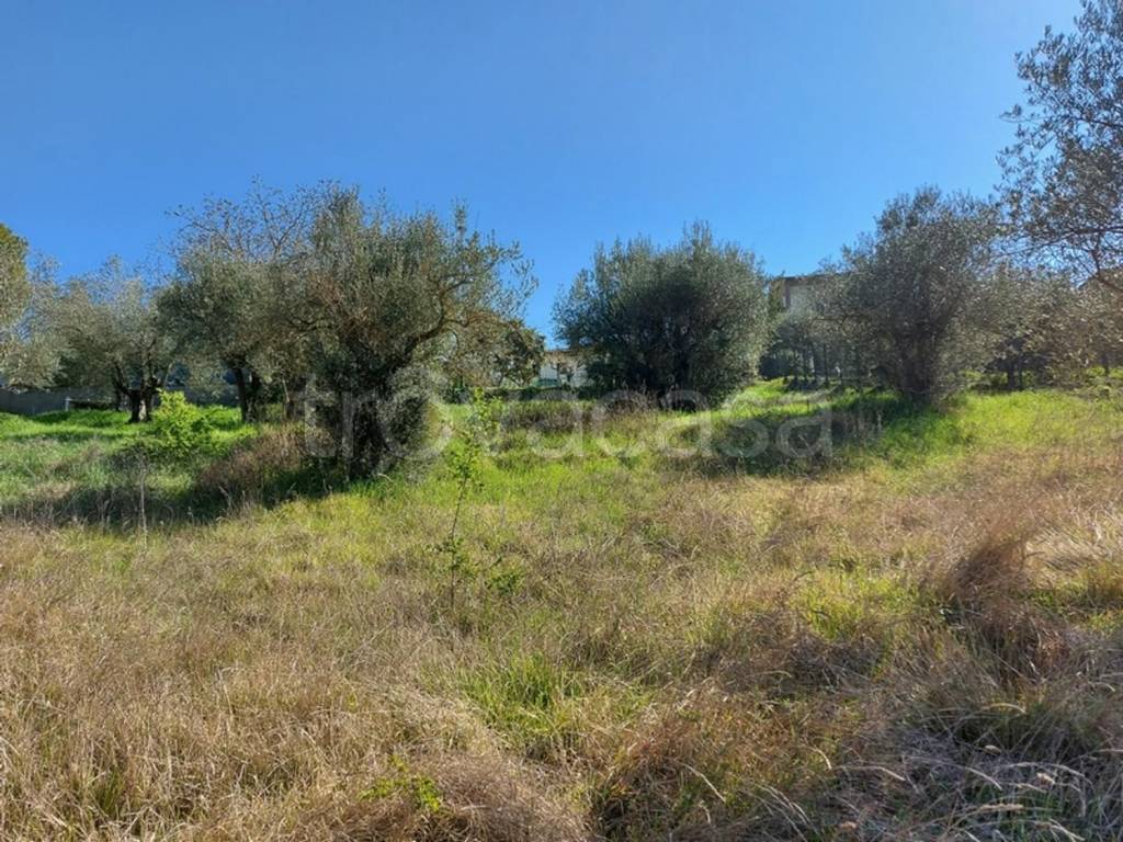 immagine annuncio 4 di 14
