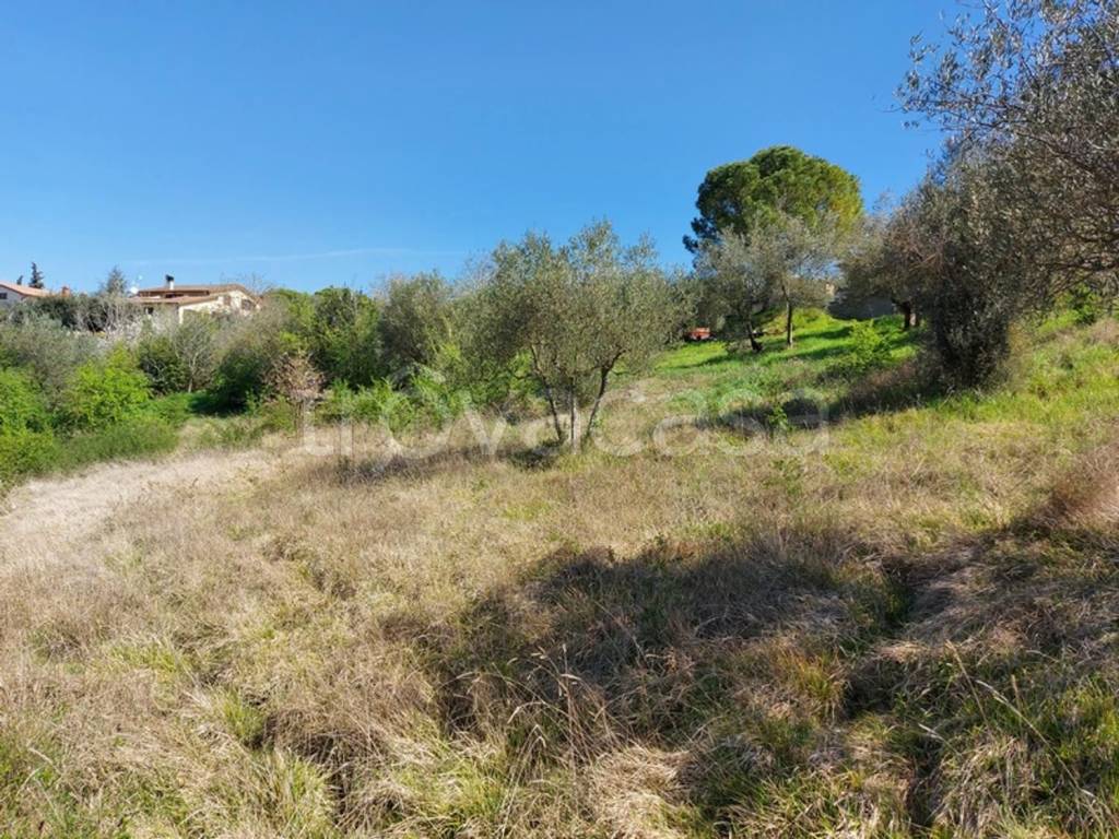 immagine annuncio 5 di 14