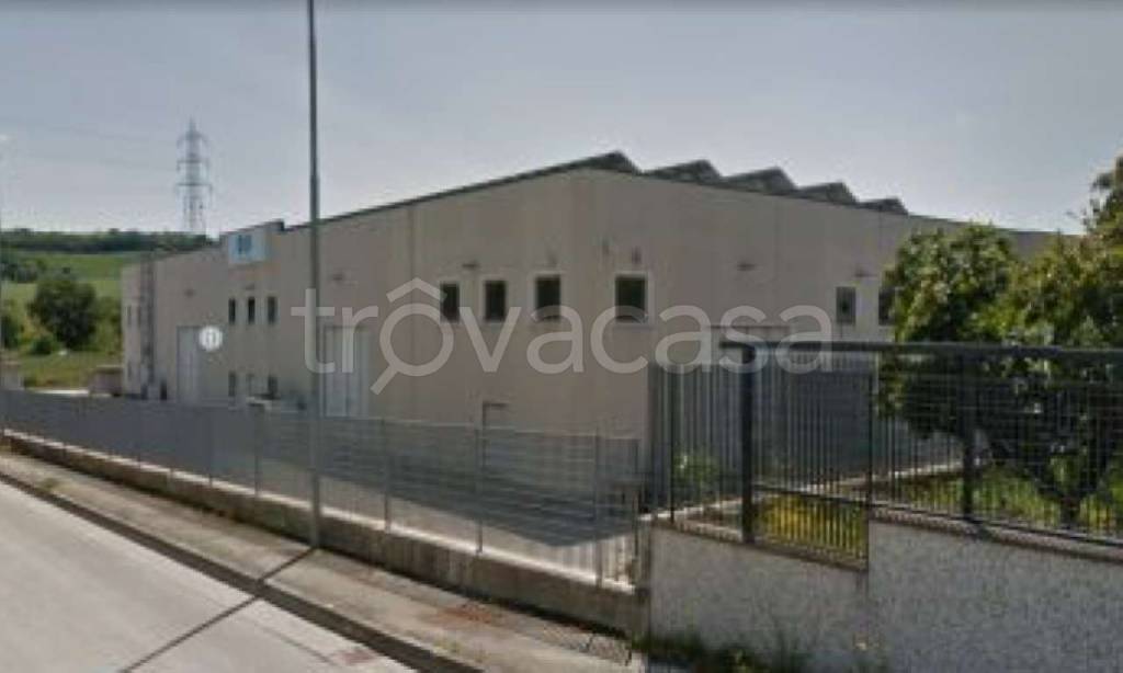 immagine annuncio 2 di 6