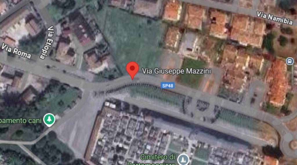 immagine annuncio 12 di 14