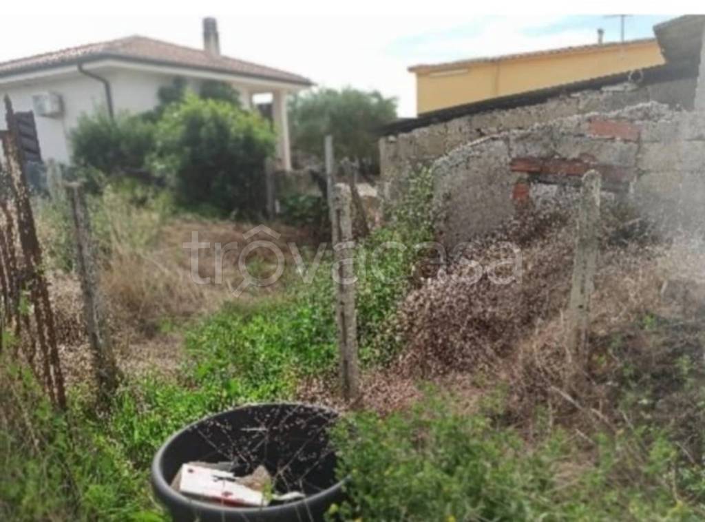 immagine annuncio 10 di 11