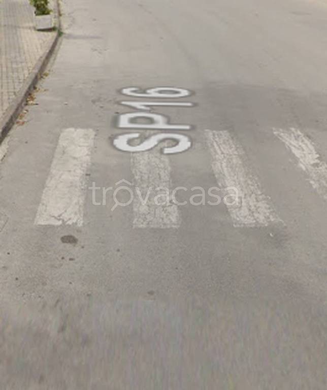 immagine annuncio 11 di 12