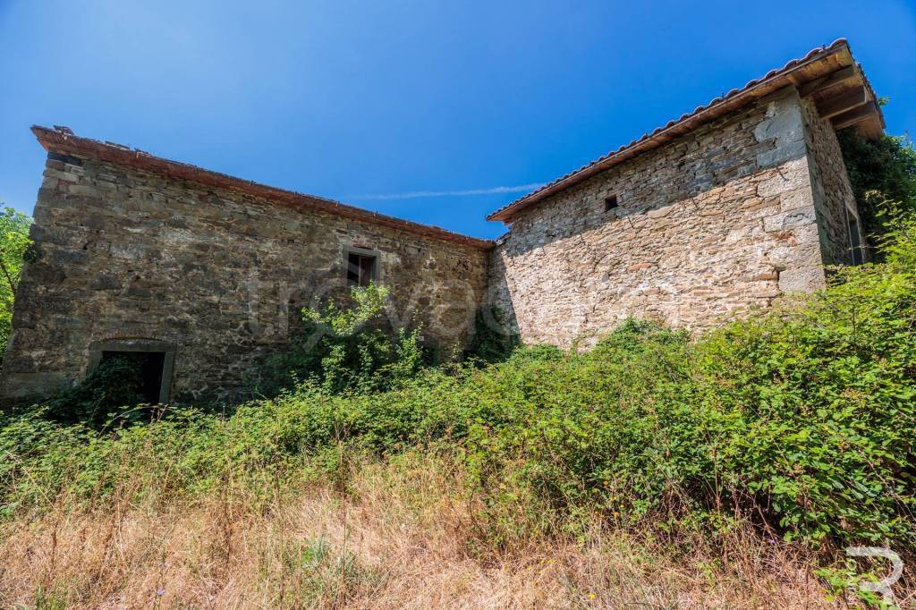 immagine annuncio 5 di 8