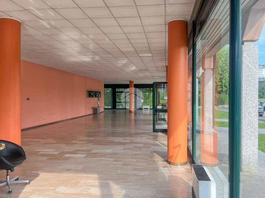 immagine annuncio 3 di 6