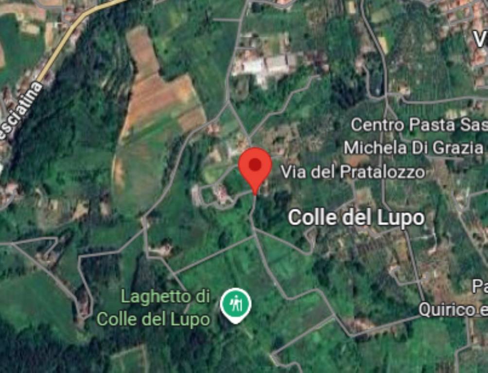 immagine annuncio 10 di 11
