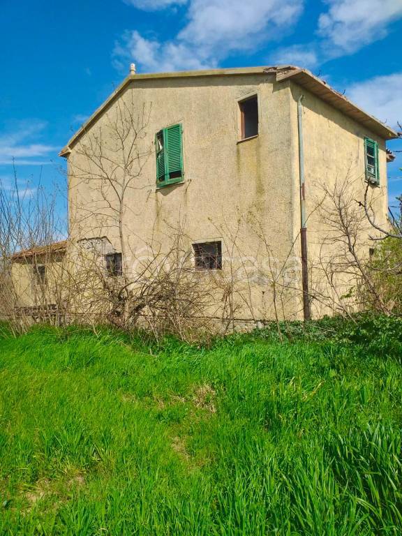 immagine annuncio 1 di 6