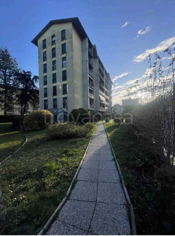 immagine annuncio 1 di 11