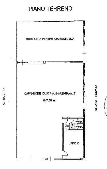 immagine annuncio 9 di 11