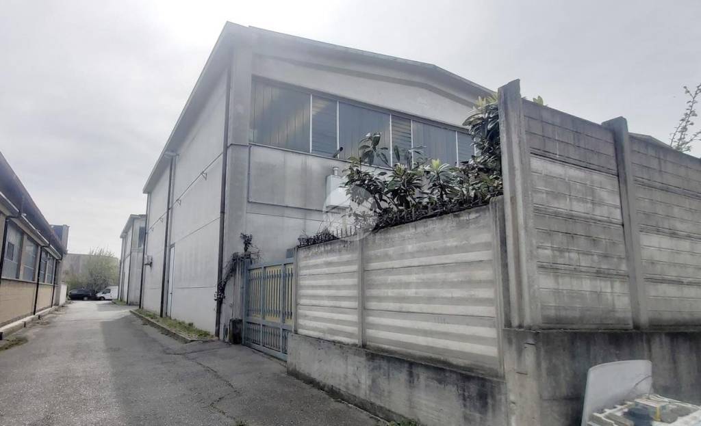 immagine annuncio 10 di 11