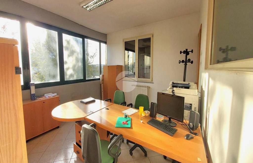 immagine annuncio 10 di 12