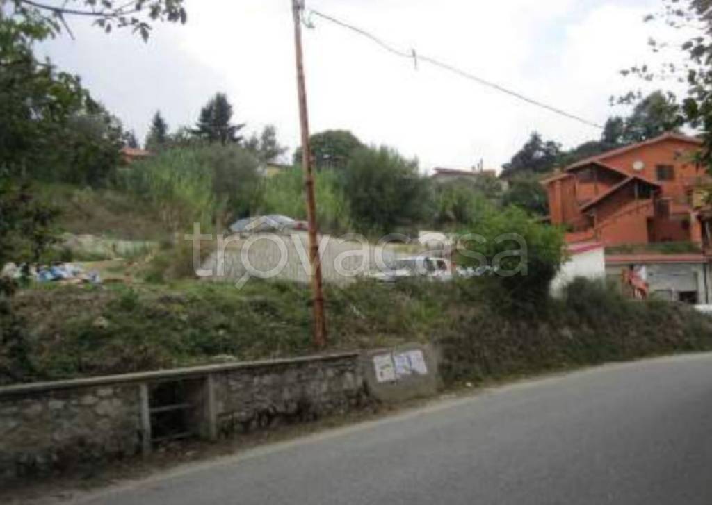immagine annuncio 9 di 12