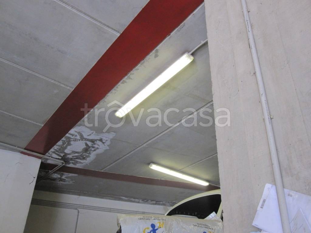 immagine annuncio 10 di 12