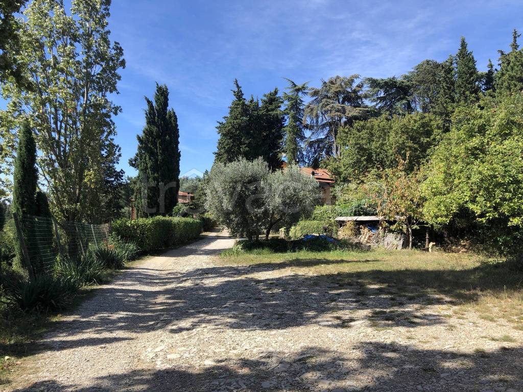 immagine annuncio 13 di 14