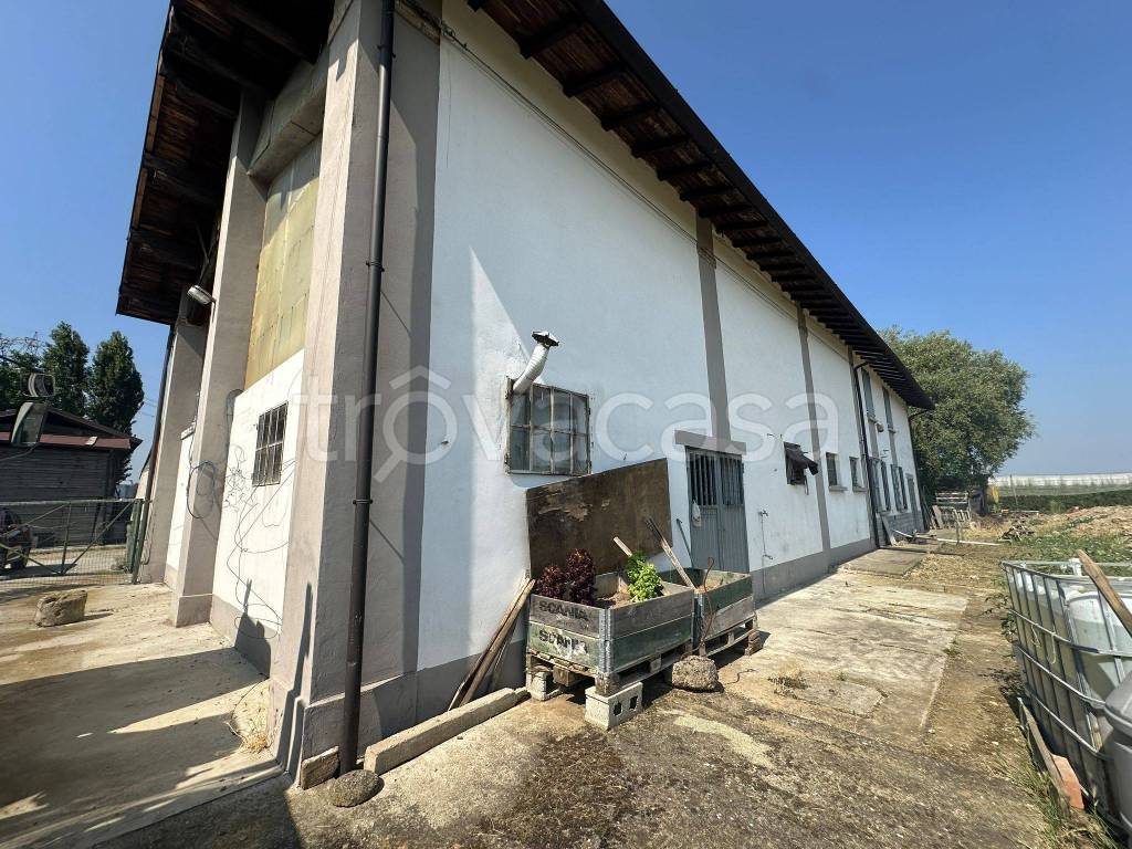 immagine annuncio 8 di 15
