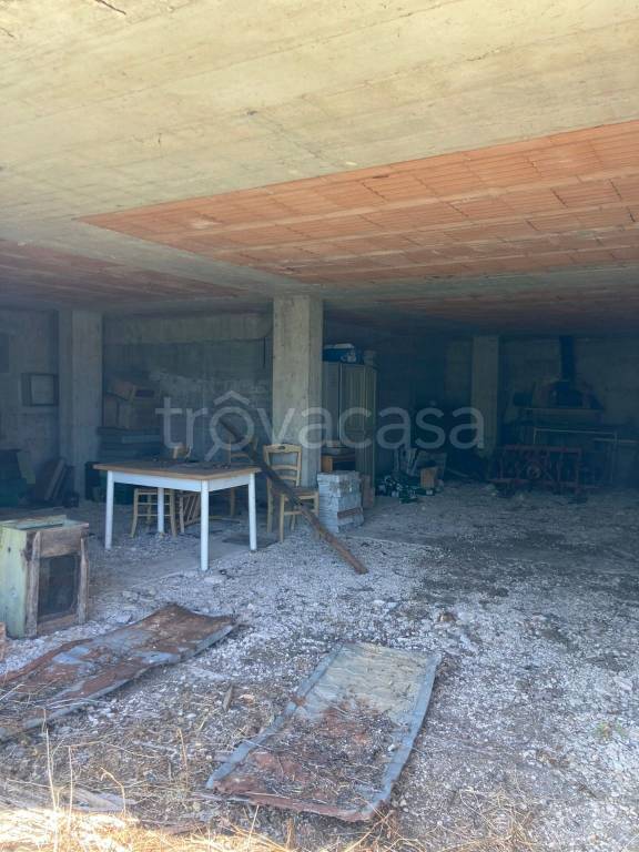 immagine annuncio 11 di 14