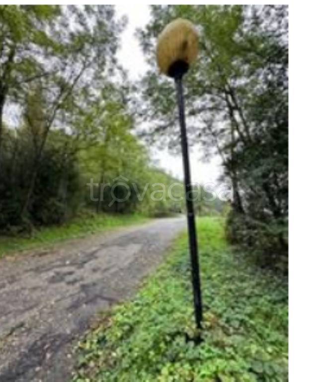 immagine annuncio 11 di 12