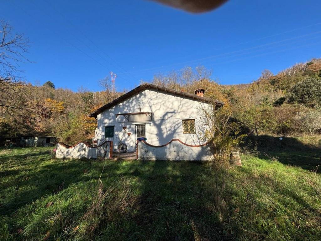 immagine annuncio 2 di 11