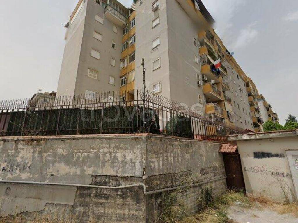 immagine annuncio 3 di 14