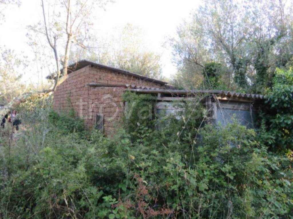 immagine annuncio 5 di 11