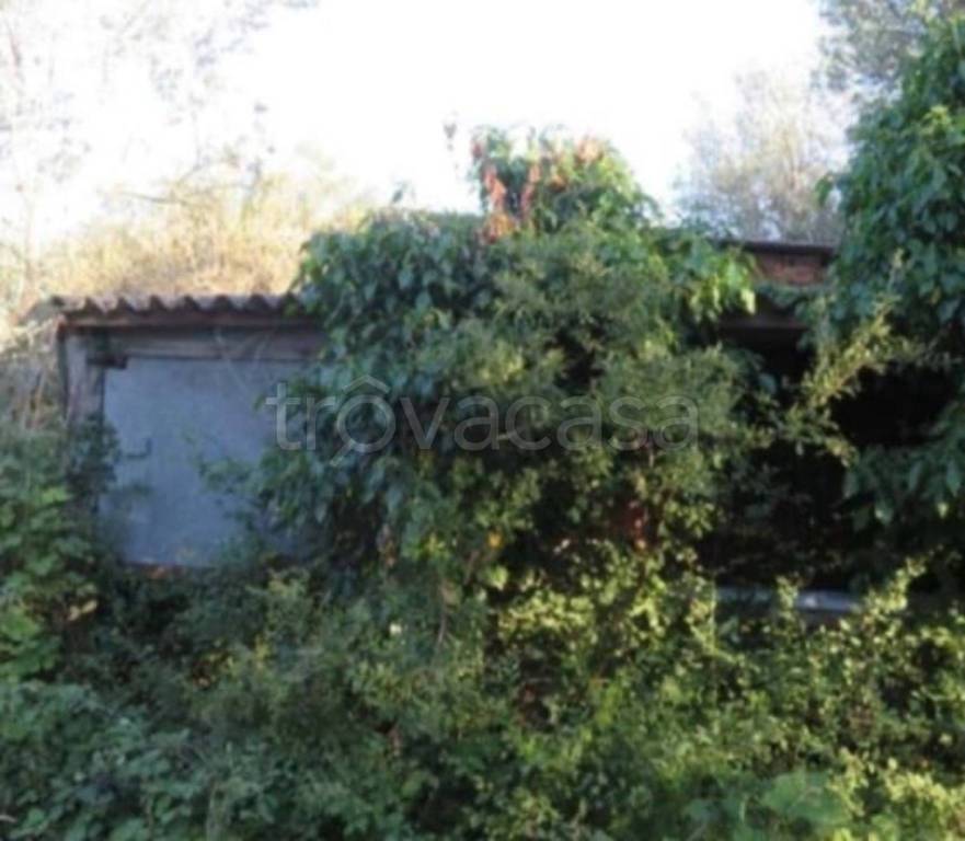 immagine annuncio 10 di 11
