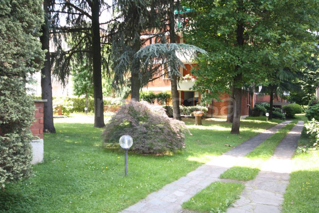 immagine annuncio 2 di 14