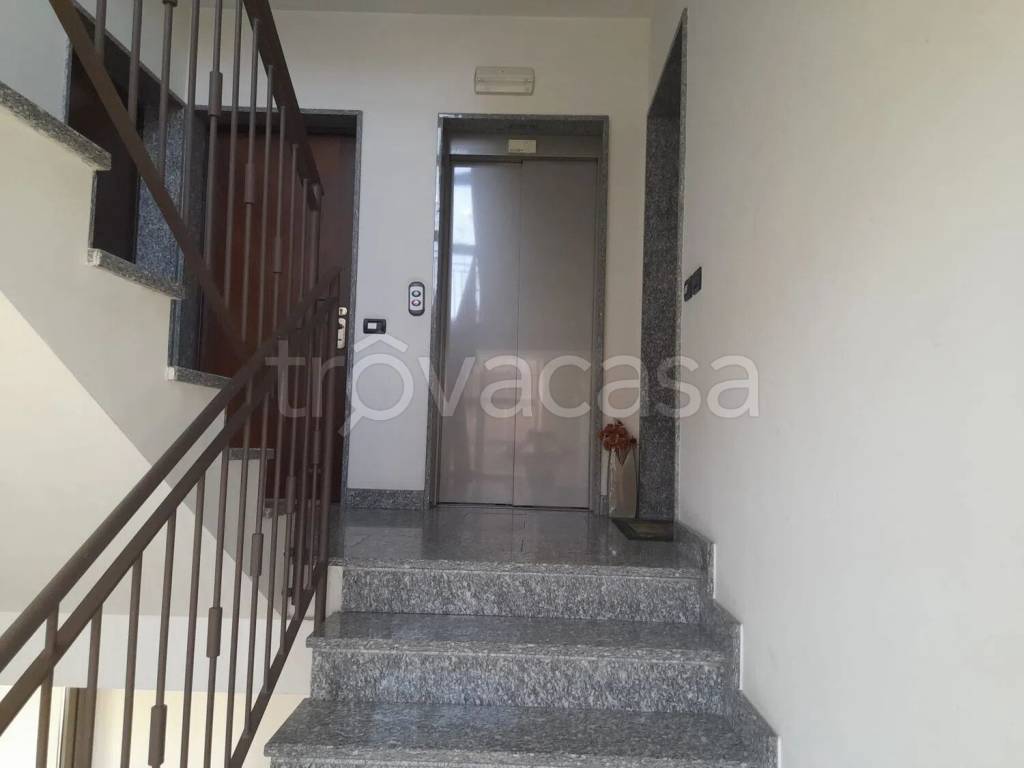 immagine annuncio 4 di 12