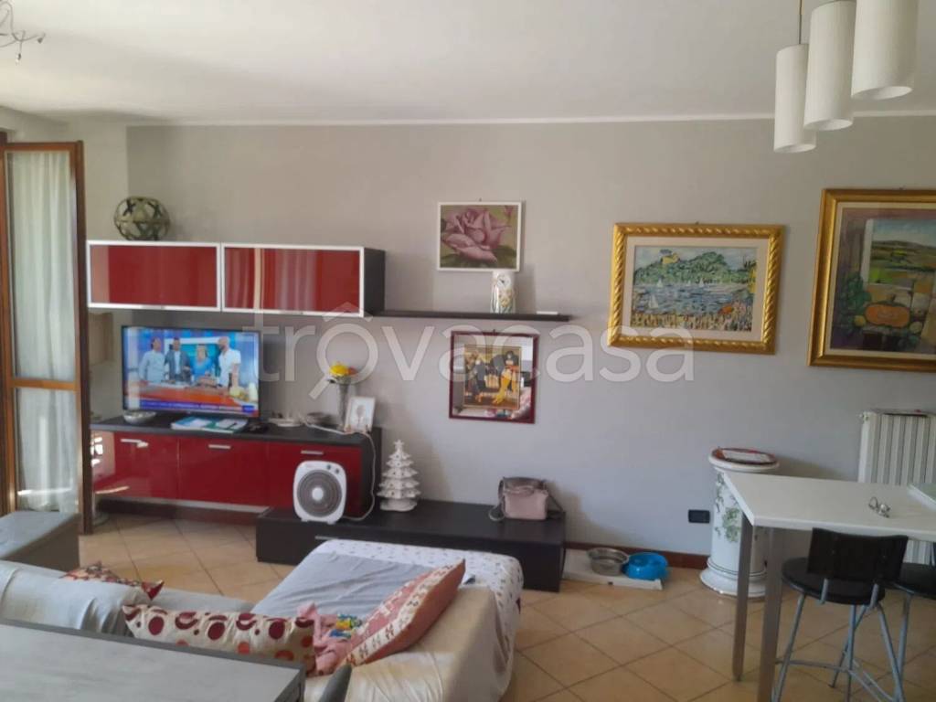 immagine annuncio 9 di 12