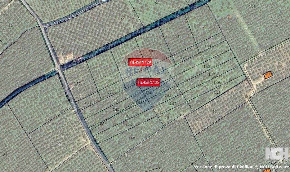 immagine annuncio 3 di 7