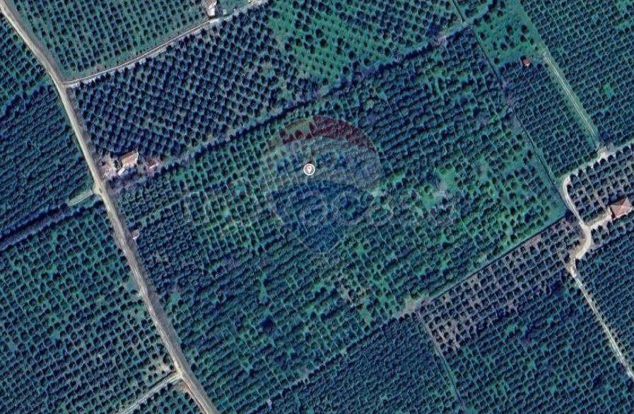 immagine annuncio 6 di 7