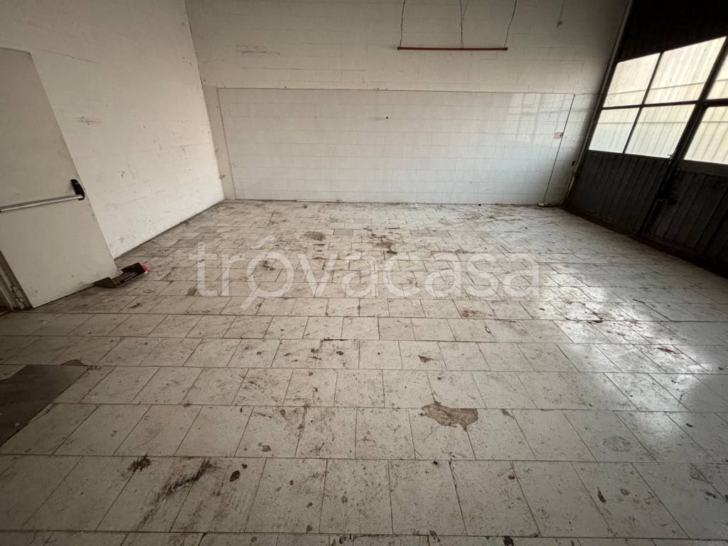 immagine annuncio 1 di 8