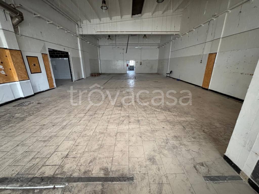 immagine annuncio 2 di 8