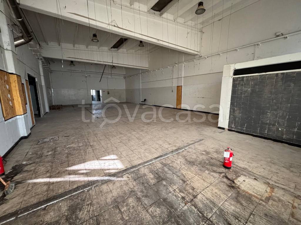 immagine annuncio 3 di 8