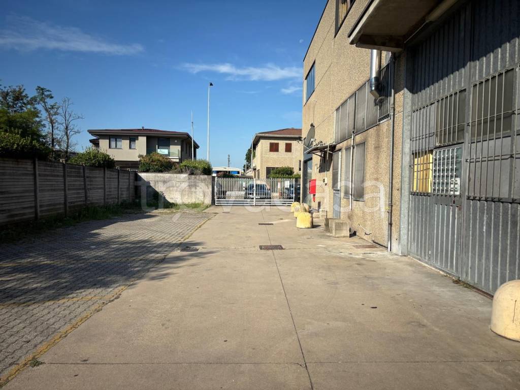 immagine annuncio 7 di 8