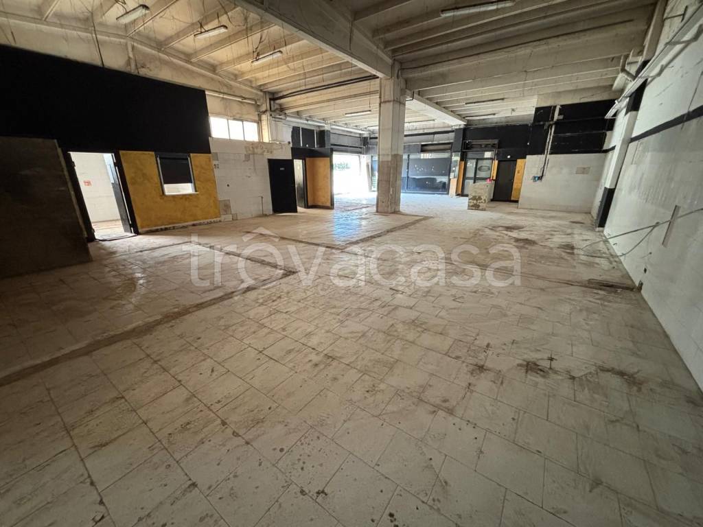 immagine annuncio 5 di 8